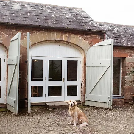 The Courtyard *